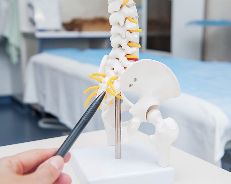 骨粗鬆症の治療方法